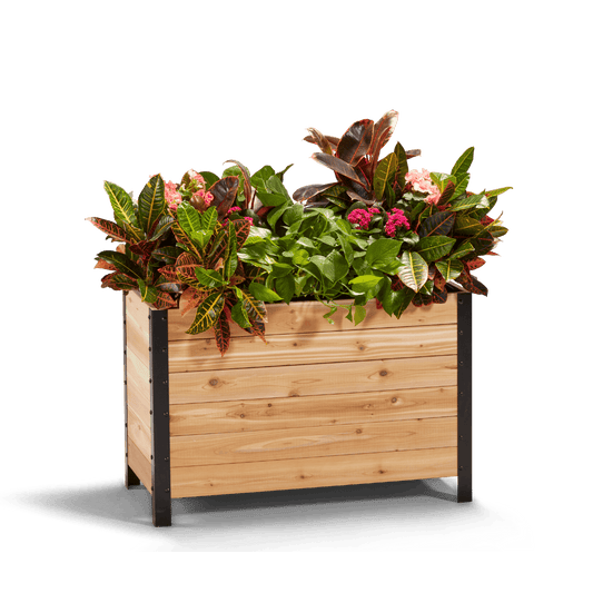 18" x 36" Planter Box - 24" TALL / Select Grade Cedar Planters