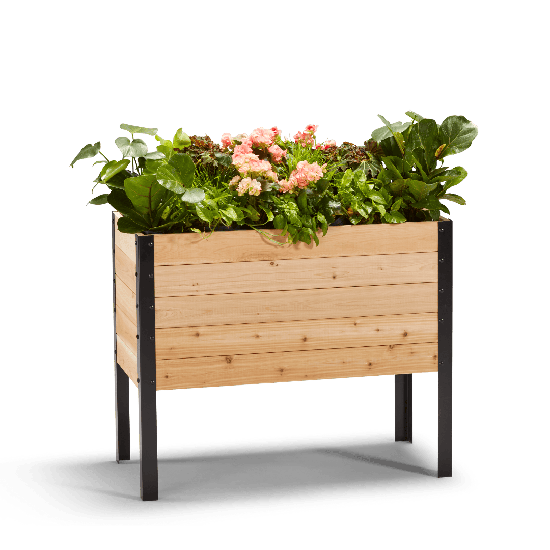 18″ x 36″ Deep Root Raised Garden Bed - 30″ TALL / Select Grade Cedar Planters