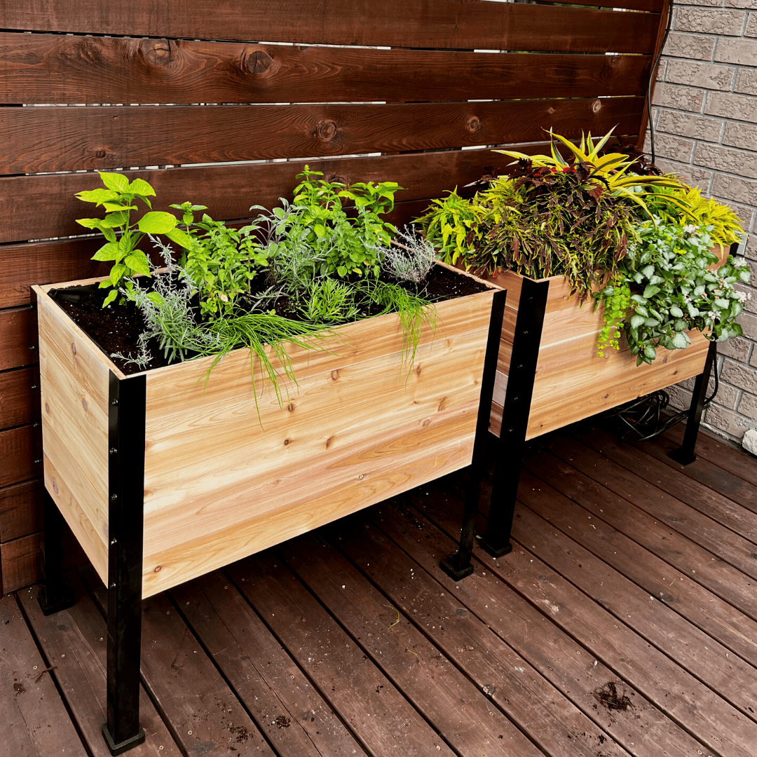 18″ x 36″ Deep Root Raised Garden Bed - 30″ TALL / Select Grade Cedar Planters