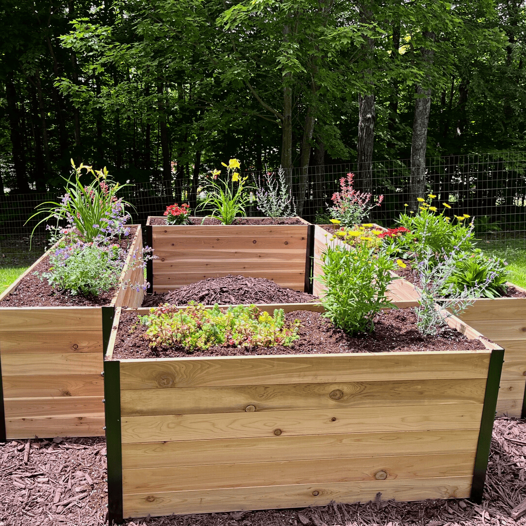 18" x 48" Planter Box - 24" TALL / Select Grade Cedar Planters
