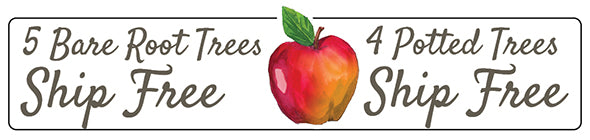 Promotional banner featuring a red apple in the center, with the text "5 Bare Root Trees Ship Free" on the left and "4 Potted Trees Ship Free" on the right.