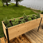 18″ x 60″ Deep Root Raised Garden Bed - 30″ TALL / Select Grade Cedar Planters