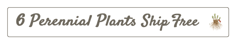 Buy 6 qualifying perennial plants and receive free shipping