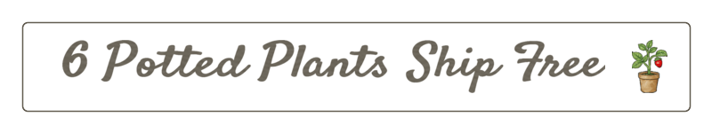 Buy 6 qualifying potted plants and receive free shipping