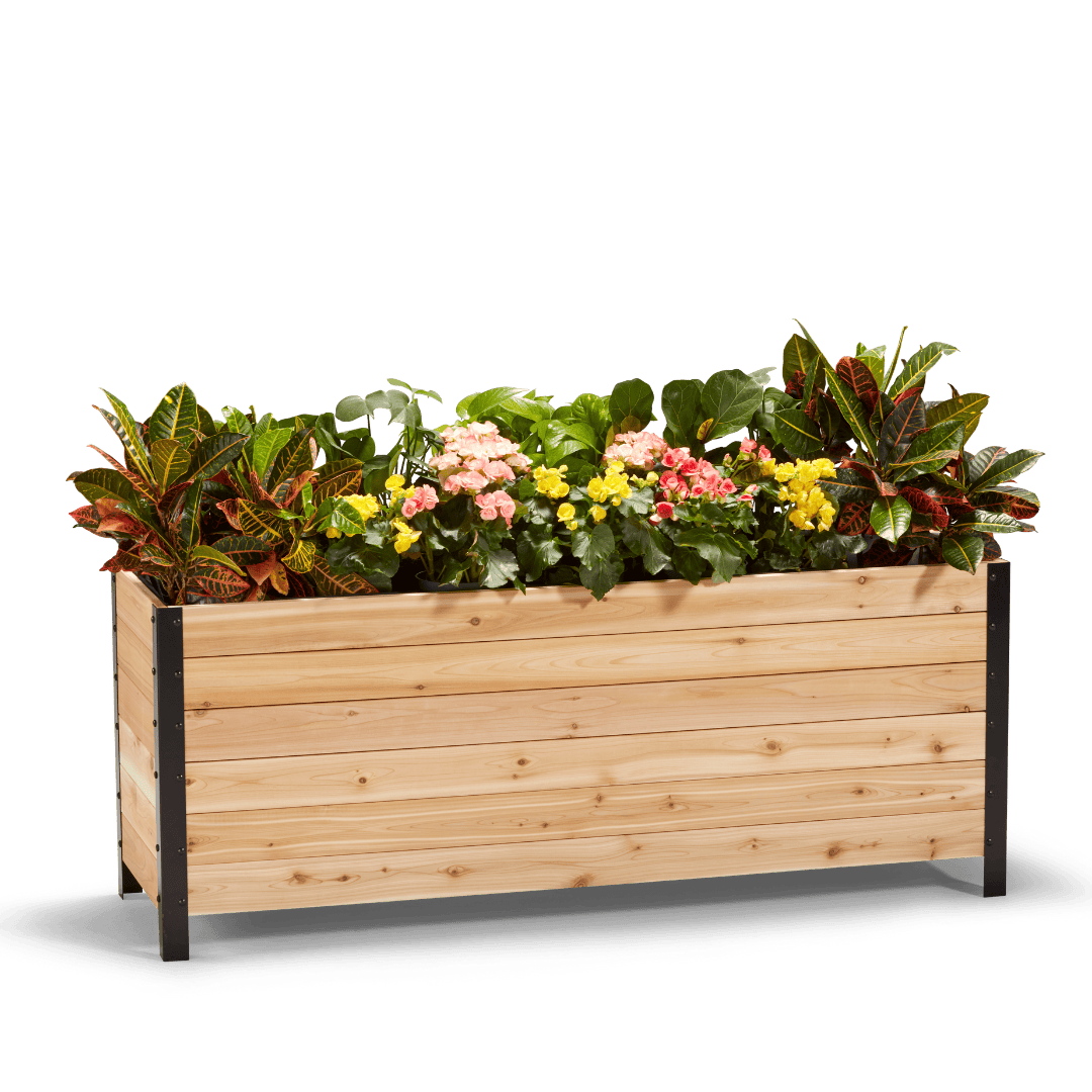 18" x 60" Planter Box - 24" TALL / Select Grade Cedar Planters