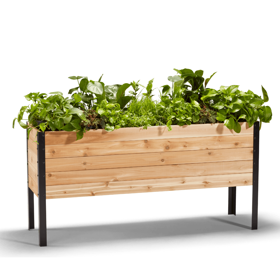 18″ x 60″ Deep Root Raised Garden Bed - 30″ TALL / Select Grade Cedar Planters
