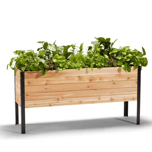 18″ x 60″ Deep Root Raised Garden Bed - 30″ TALL / Select Grade Cedar Planters