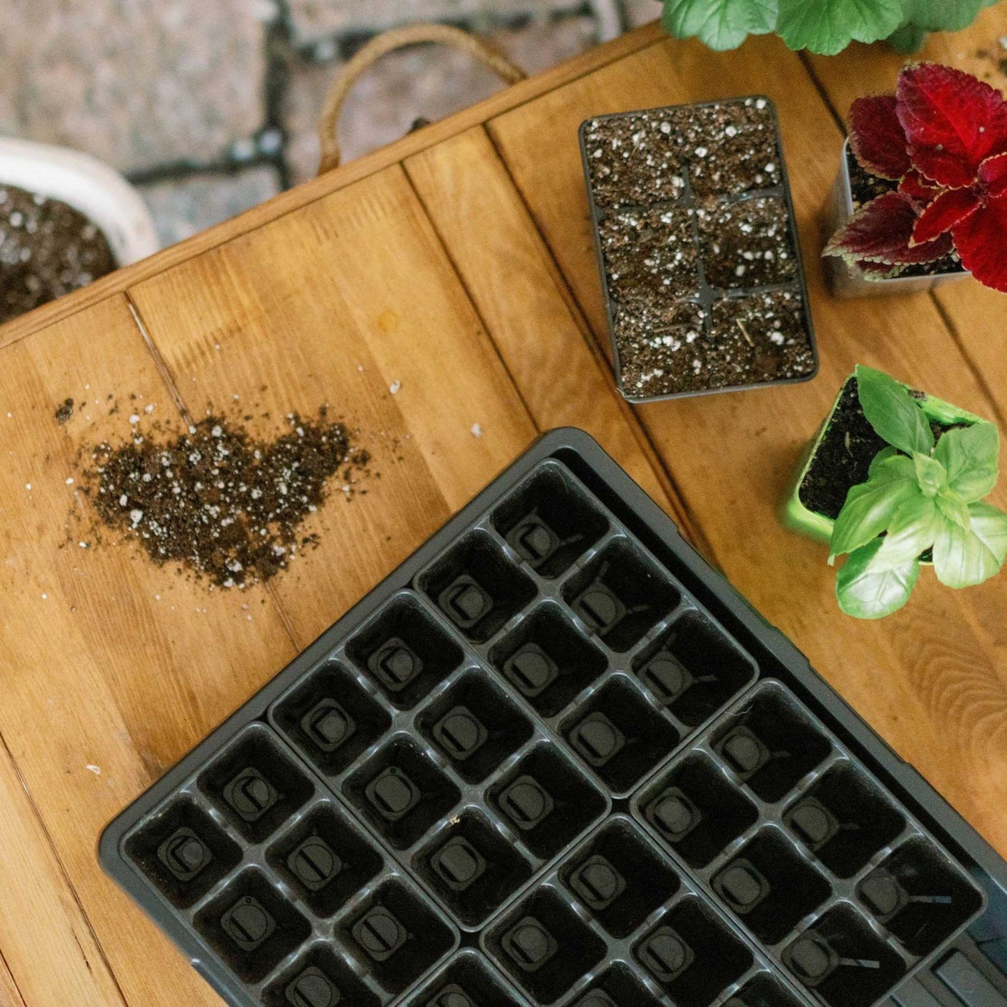 6 Cell Plug Tray Inserts Bootstrap Farmer