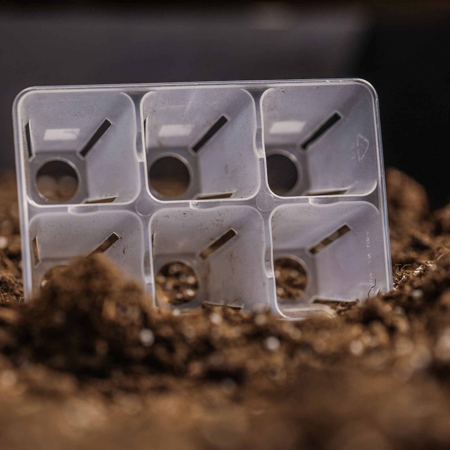 6 Cell Plug Tray Inserts Bootstrap Farmer