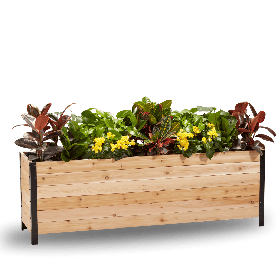18" x 72" Planter Box - 24" TALL / Select Grade Cedar Planters