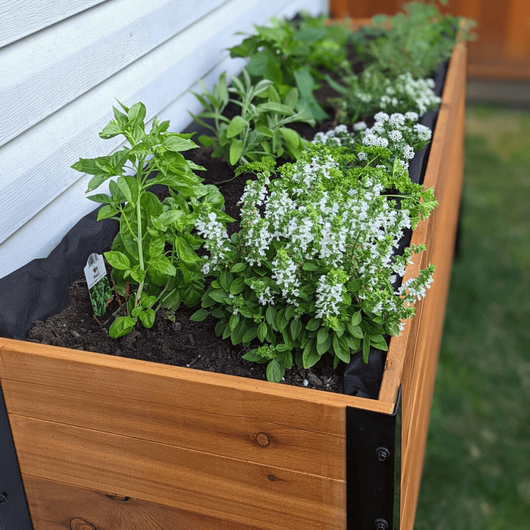 18" x 72" Planter Box - 24" TALL / Select Grade Cedar Planters