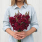 Antirrhinum Majus - Double Azalea Red Grow Organic