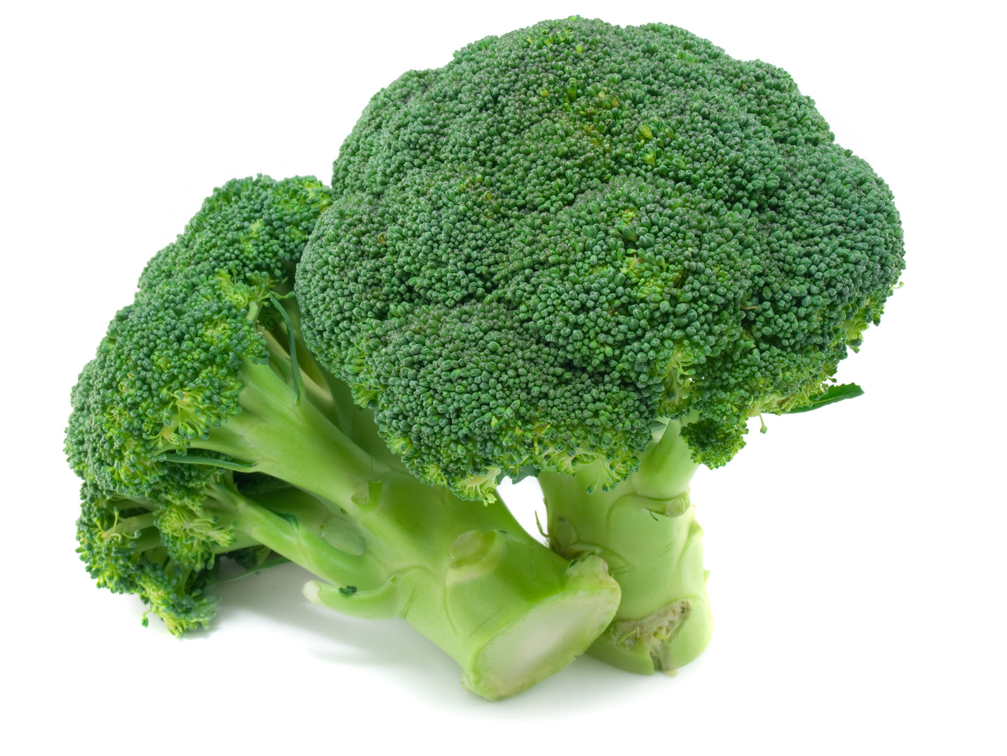 Organic Belstar Broccoli