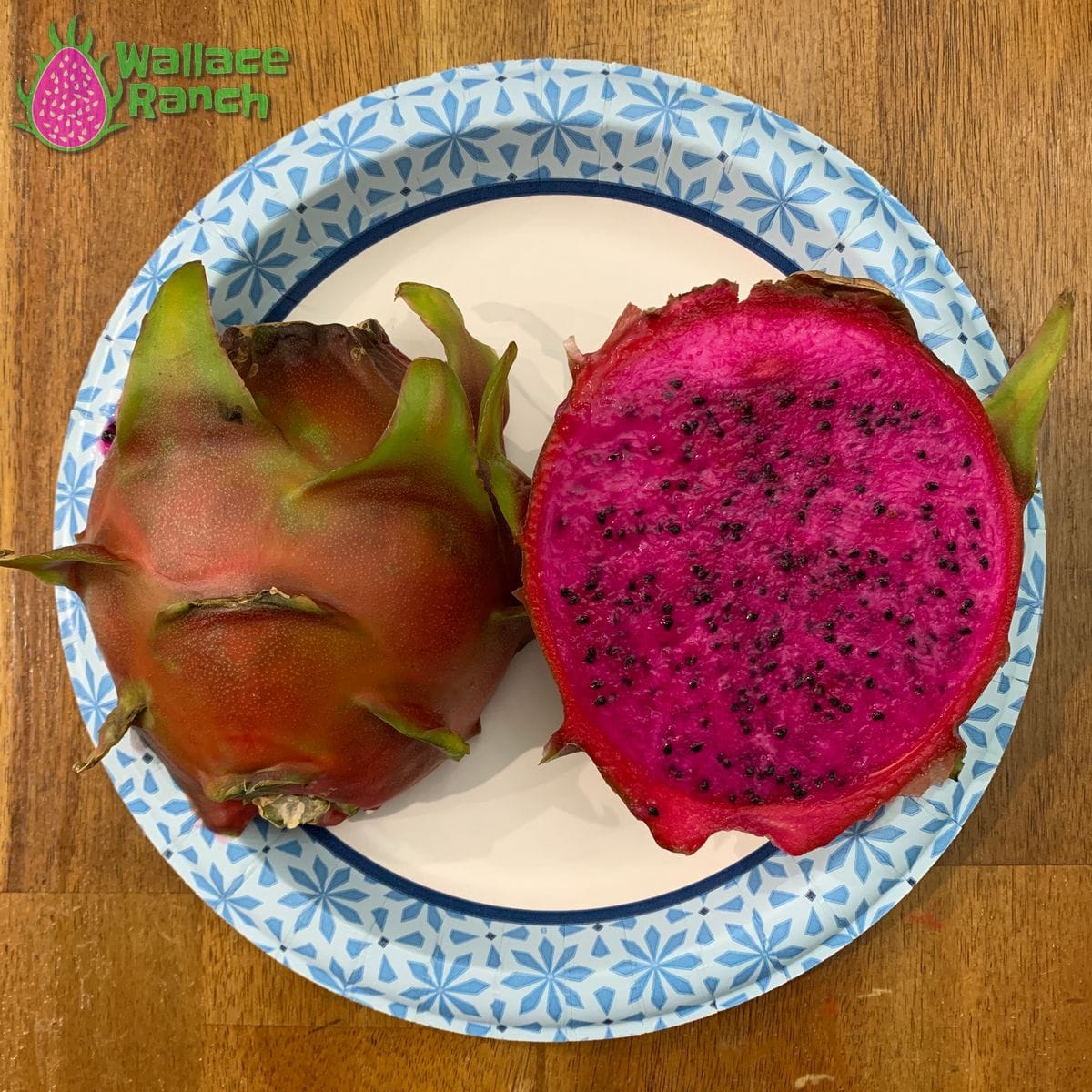 American Beauty Wallace Ranch Dragon Fruit