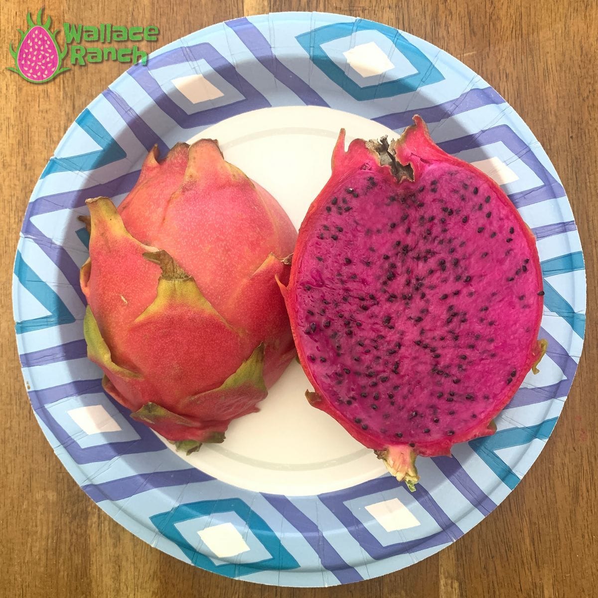American Beauty Wallace Ranch Dragon Fruit