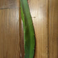 Ax Wallace Ranch Dragon Fruit