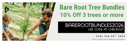 Promotional banner for bare root tree bundles with a man and child planting a tree.