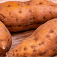 Beauregard Sweet Potato Slips - Grow Organic