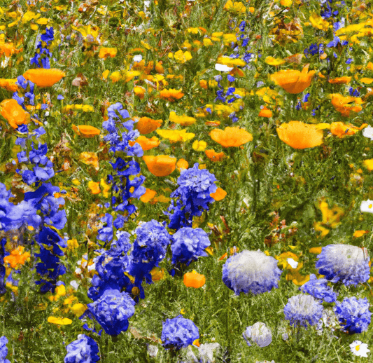 Peaceful Valley Bee Friendly Pollinator Mix (lb)