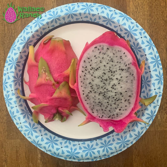 Bien Hoa White Wallace Ranch Dragon Fruit