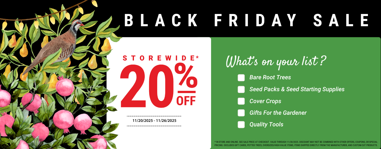 Black Friday sale banner with floral design and promotional text.