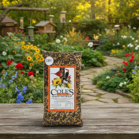 Cole's - Blazing Hot Blend Seed 10lbs BFG Supply Co