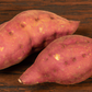 Carolina Ruby Sweet Potato Slips