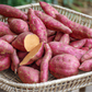 Carolina Ruby Sweet Potato Slips