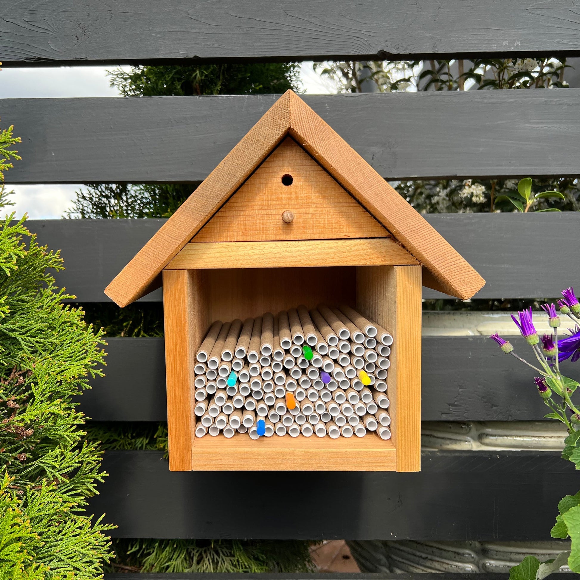 Bee Wayfinders - Mason Bees CrownBees