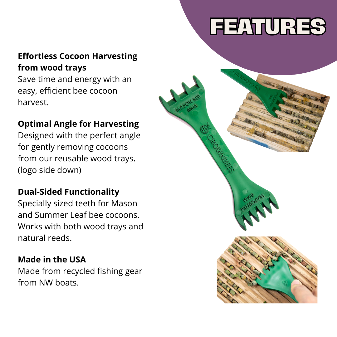 Cocoon Harvest Set CrownBees