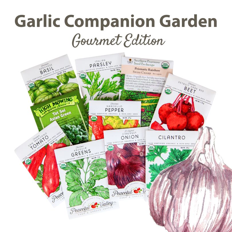 The Garlic Companion Garden – Gourmet Edition Grow Organic