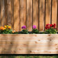 18" x 72" Planter Box - 24" TALL / Select Grade Cedar Planters