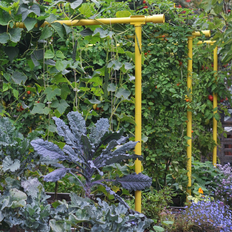 Freyr garden trellis Seattle Urban Farm