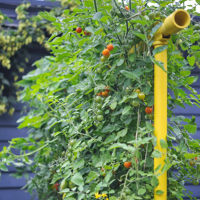 Freyr garden trellis Seattle Urban Farm