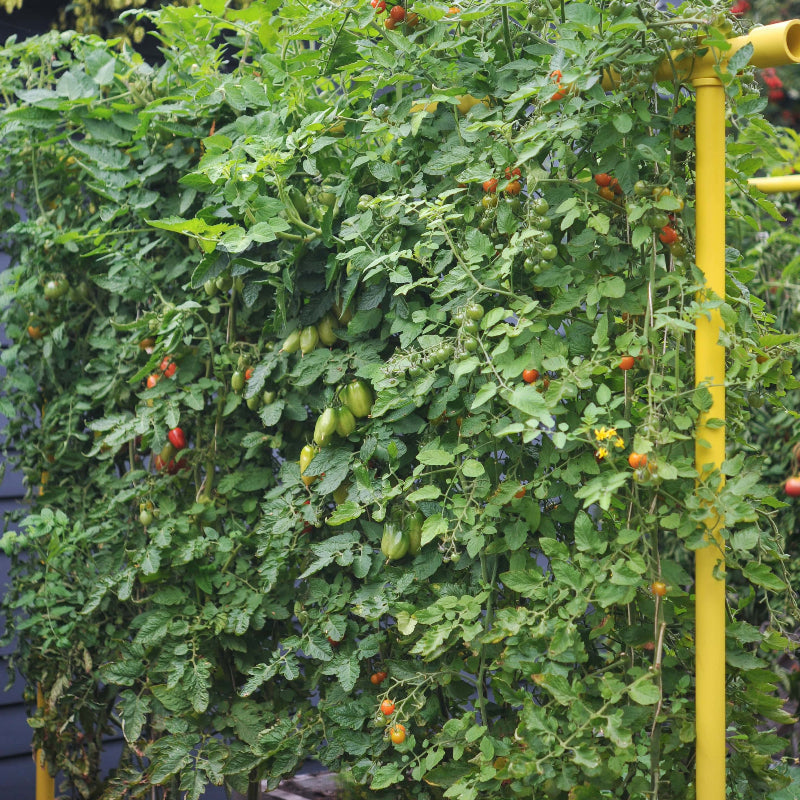 Freyr garden trellis Seattle Urban Farm