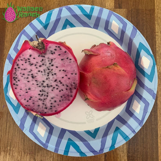 Delight 3-S Wallace Ranch Dragon Fruit