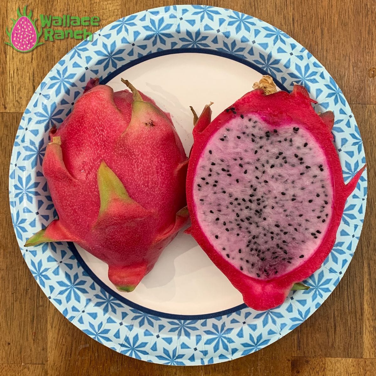 Delight 3-S Wallace Ranch Dragon Fruit
