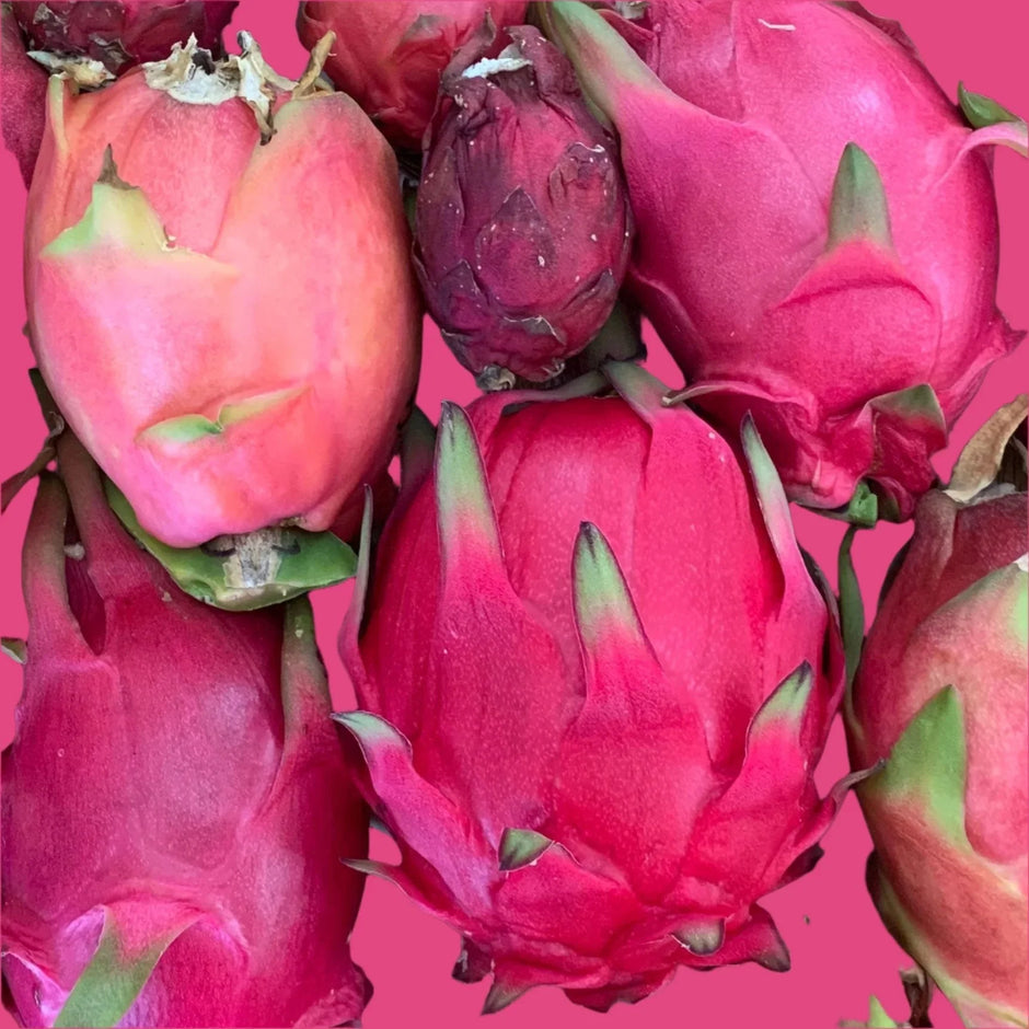 How to Tell If Dragon Fruit Is Ripe Complete Ripeness Guide Grow Organic