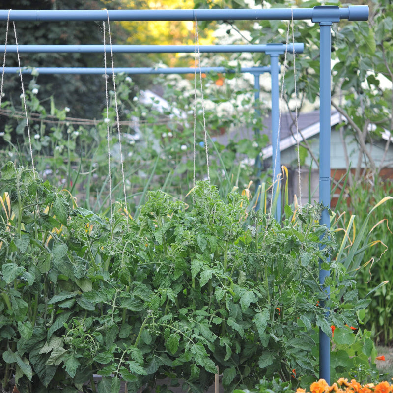 Freyr garden trellis Dusty blue Seattle Urban Farm