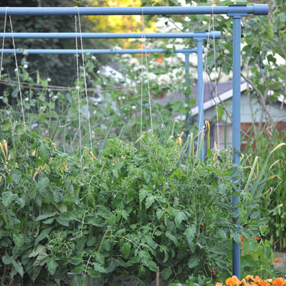 Freyr garden trellis Dusty blue Seattle Urban Farm
