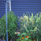 Freyr garden trellis Seattle Urban Farm
