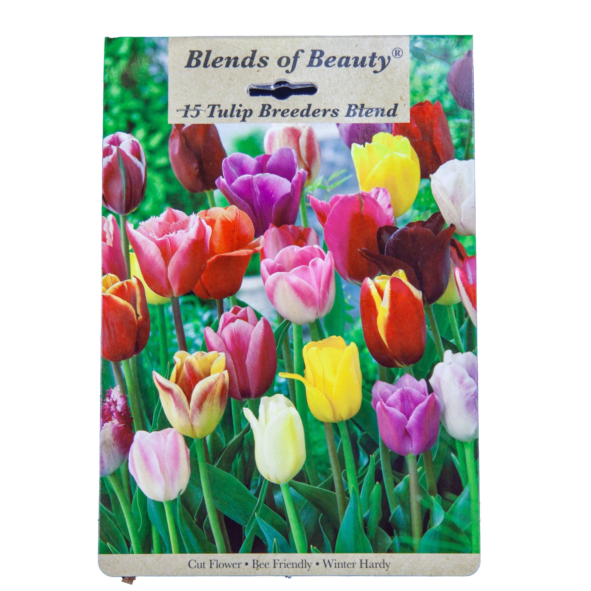 60 Days Of Tulips Bulb Mix (Pack of 12)Grow Organic