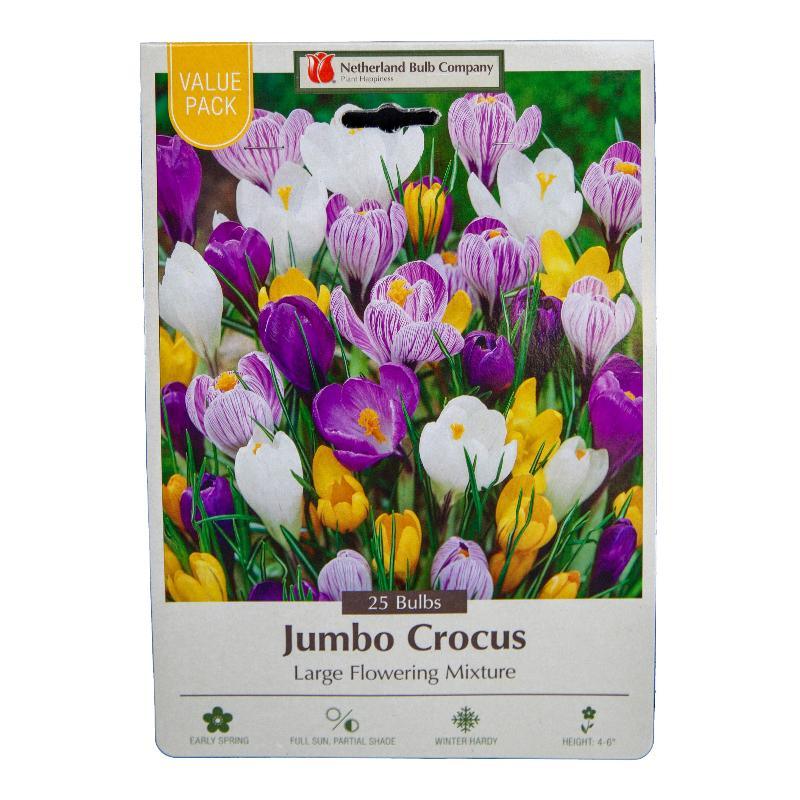 Large Flowering Crocus Bulb Mix (Pack of 20) - Grow Organic