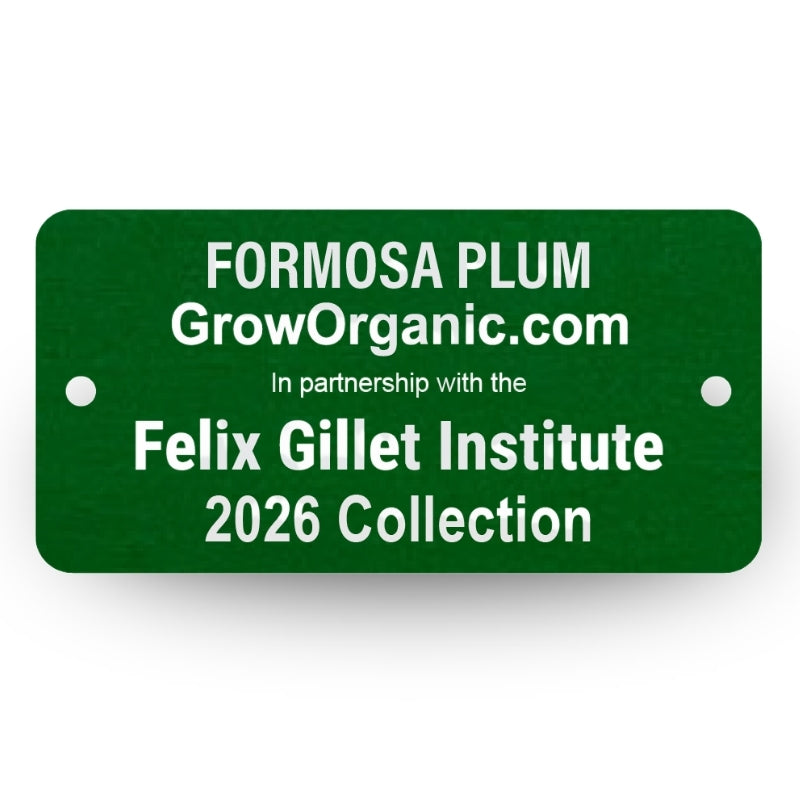 Formosa Plum Tree Felix Gillet Institute