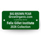 Big Brown Pear Tree Felix Gillet Institute