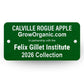 Calville Rogue Apple Tree Felix Gillet Institute