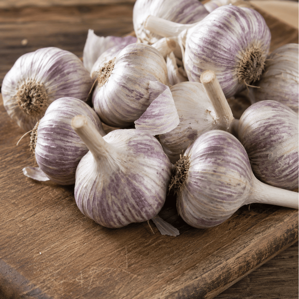 Conventional Legacy Garlic (lb) August's Harvest