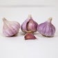 Organic Red Chesnok Garlic (lb) Grow Organic