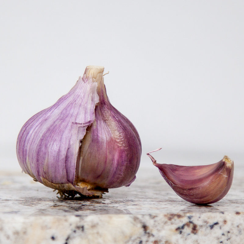 Organic Red Chesnok Garlic (lb) Grow Organic