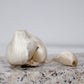 Organic Early Purple Italian Garlic (lb) Grow Organic